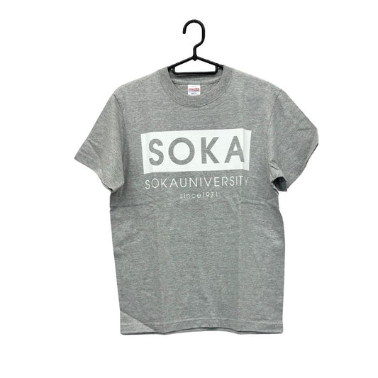 Tシャツ ボックスロゴ グレー