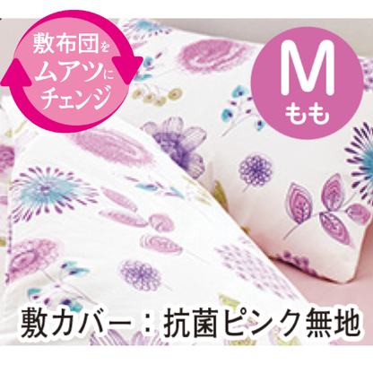 バラード(カバー付き 6点セット)