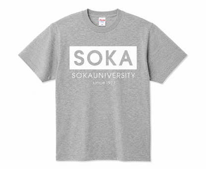 Tシャツ ボックスロゴ グレー